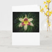 Lily, carte (Fleur jaune)