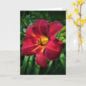 Lily, carte (Fleur jaune)