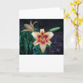 Lily, carte (Fleur jaune)