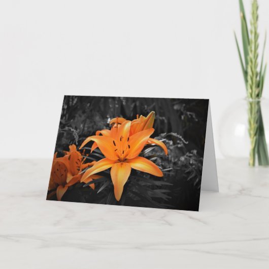 Lily, carte (Devant)