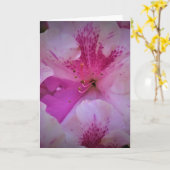 Lily, carte (Fleur jaune)