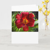 Lily, carte (Fleur jaune)