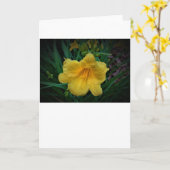 Lily, carte (Fleur jaune)