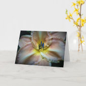 Lily, carte (Fleur jaune)