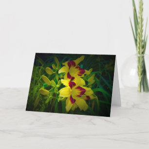 Lily, carte