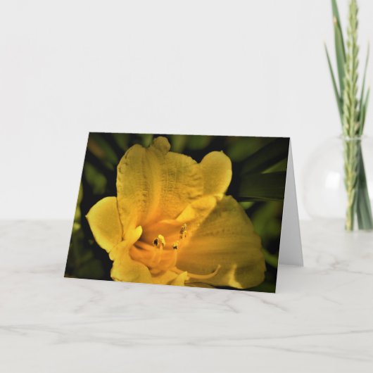 Lily, carte (Devant)