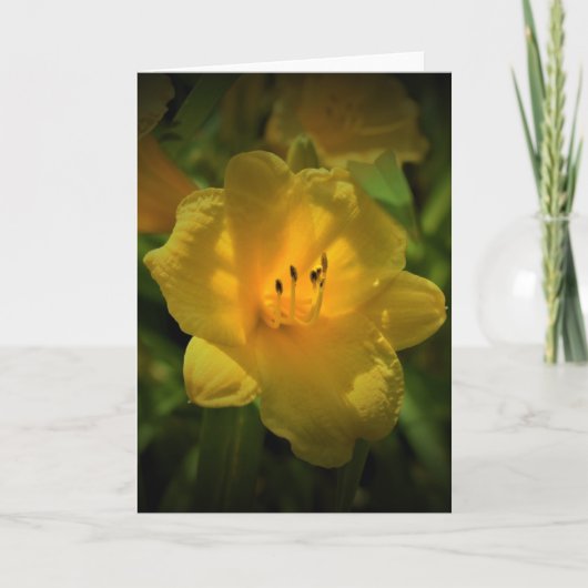 Lily, carte (Devant)