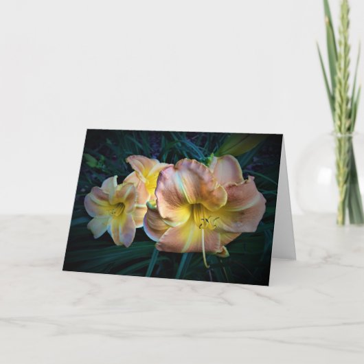 Lily, carte (Devant)