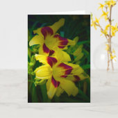 Lily, carte (Fleur jaune)