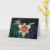Lily, carte (Fleur jaune)