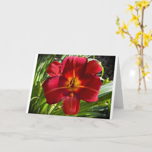 Lily, carte (Fleur jaune)