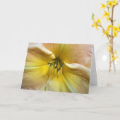 Lily, carte (Fleur jaune)