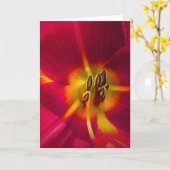 Lily, carte (Fleur jaune)