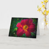 Lily, carte (Fleur jaune)