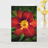 Lily, carte (Fleur jaune)