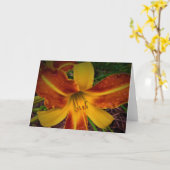 Lily, carte (Fleur jaune)
