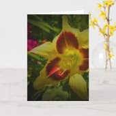 Lily, carte (Fleur jaune)