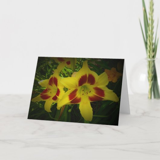 Lily, carte (Devant)