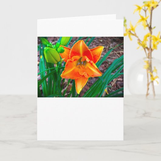 Lily, carte (Fleur jaune)