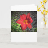 Lily, carte (Fleur jaune)