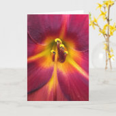 Lily, carte (Fleur jaune)