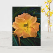 Lily, carte (Fleur jaune)