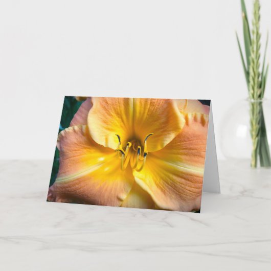 Lily, carte (Devant)