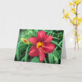 Lily, carte (Fleur jaune)