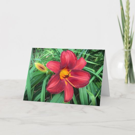 Lily, carte (Devant)