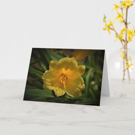 Lily, carte (Fleur jaune)