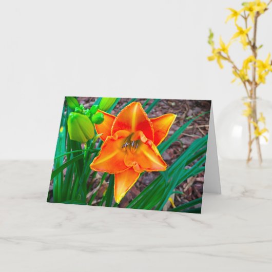 Lily, carte (Fleur jaune)