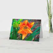 Lily, carte (Devant)