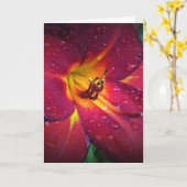 Lily, carte (Fleur jaune)