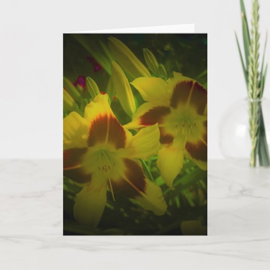 Lily, carte (Devant)