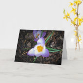 Lily, carte (Fleur jaune)