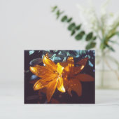 Lily | Carte postale (Debout devant)