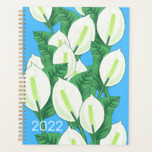Lily de la paix 2022