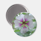 Lily délicate - aimant (Recto/Verso)