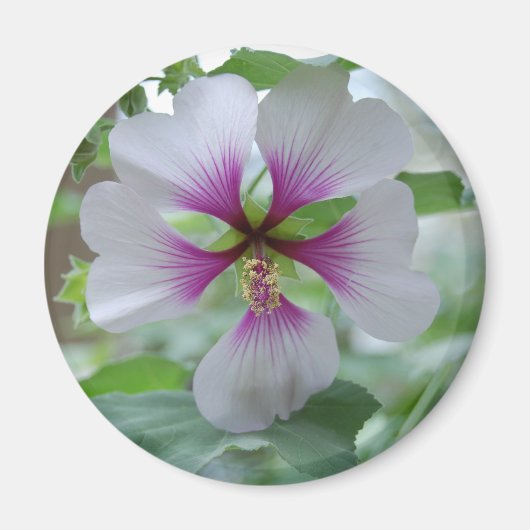 Lily délicate - aimant (Devant)