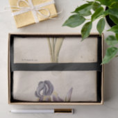 Lily door Jacques de Morgues Tissuepapier (Geschenk)