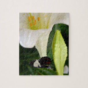 Lily en Butterfly Legpuzzel