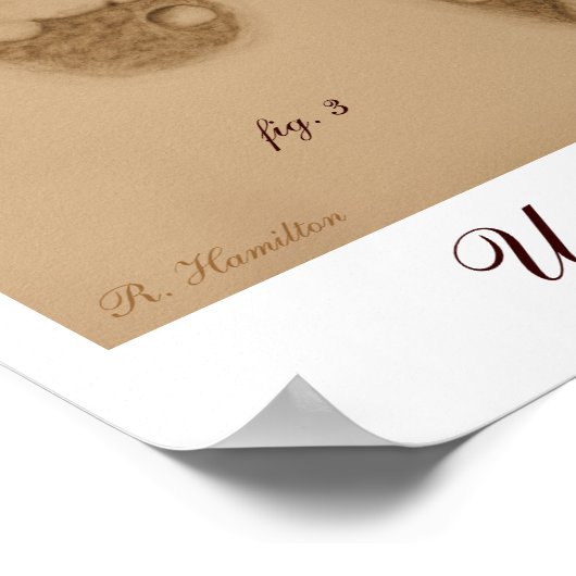 Lily en Hope Paw Print (Hoek)