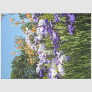 Lily en Iris Garden Poster Tissuepapier