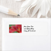 Lily Étiquette (En situation)