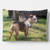 Lily Etui (Voorkant)