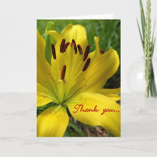 Lily Floral Merci (Devant)