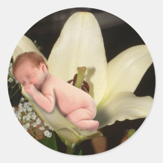 Lily Flower Baby ronde Sticker