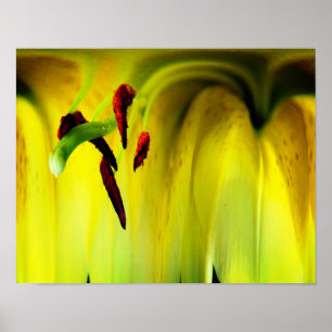 Lily Flower Fantasy Floral Abstract Poster