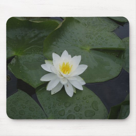 Lily Flower in Lily Pads Muismat (Voorkant)