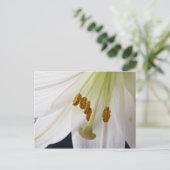 Lily Flower Macro briefkaart (Staand voorkant)